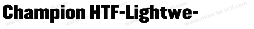 Champion HTF-Lightwe字体转换